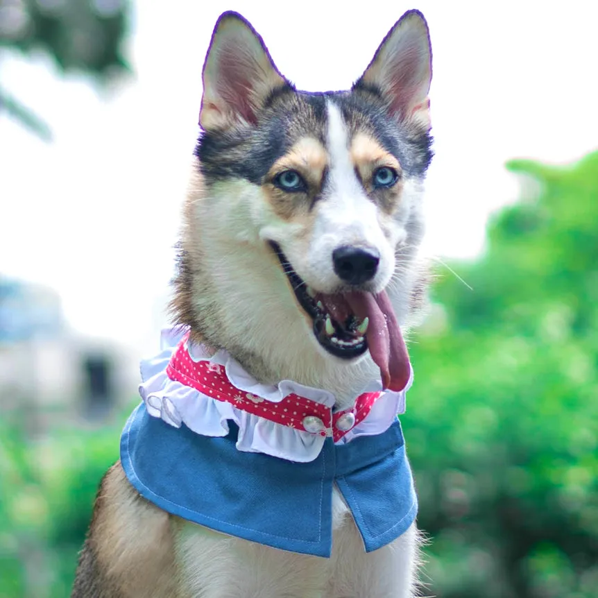 Female Denim Frills Cape - Daisy Kisses