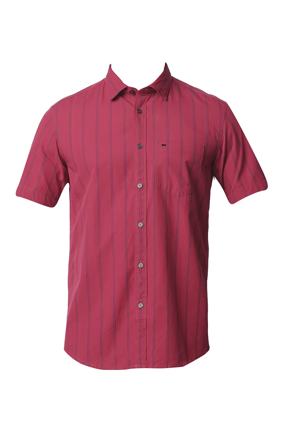 Slim Fit Stripe Halfsleeves Shirt